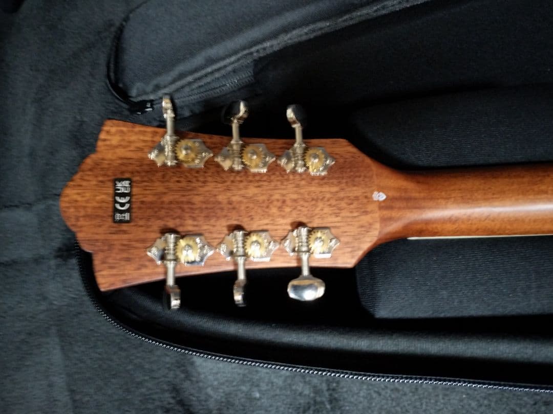 【美品】Guild D-260CE Deluxe 【エレアコ】